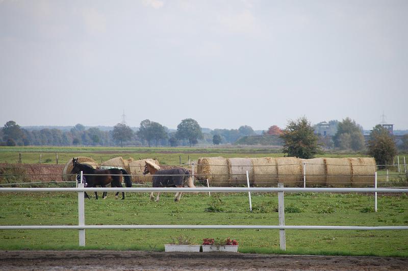 Tagesausritt Oktober 2008123.JPG